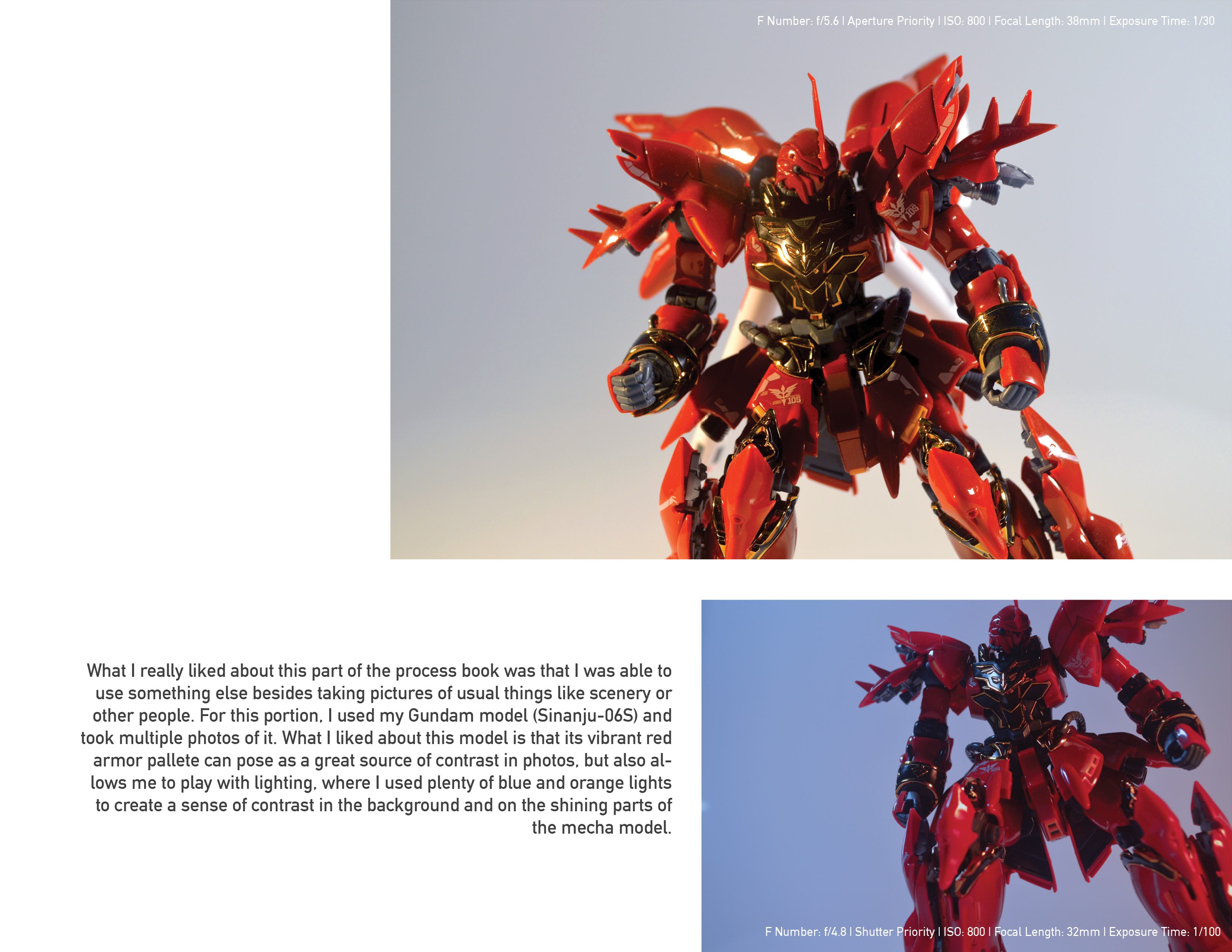 Scorpion Image 9